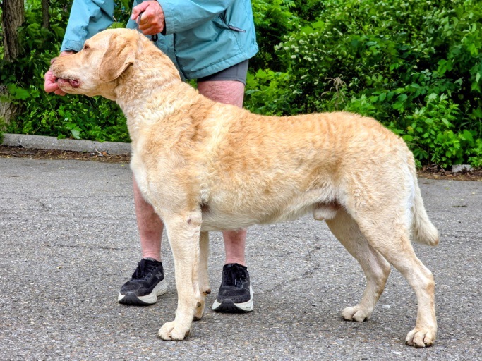 Sire Photos